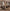 Retro Solid Wood Antique Walnut Dining Table Set – Timeless Craftsmanship-MinimalisticDecor.com