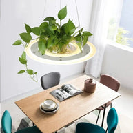 Ring Plant Pendant Lustre Planet Light-MinimalisticDecor.com
