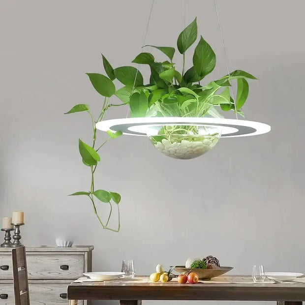 Ring Plant Pendant Lustre Planet Light-MinimalisticDecor.com
