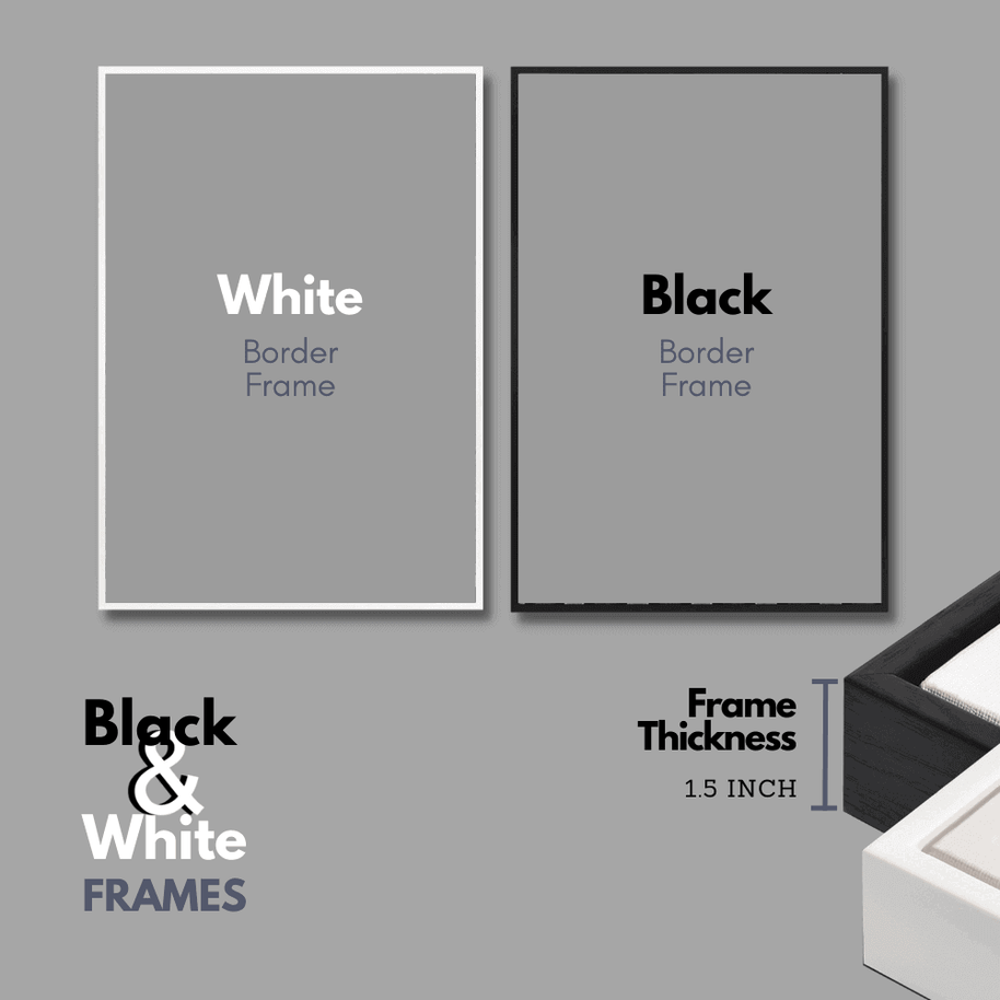 Roger Federer Iconic Moments Canvas Wall Decor-MinimalisticDecor.com