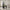 Sillas Designer Dining Chair-MinimalisticDecor.com