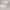 Soft Hose LED Ceiling Chandelier – Flexible Modern Lighting-MinimalisticDecor.com