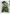 Tropical Forest Plants Vinyl Wall Sticker – Botanical Wall Decal-MinimalisticDecor