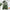 Tropical Forest Plants Vinyl Wall Sticker – Botanical Wall Decal-MinimalisticDecor