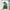 Tropical Forest Plants Vinyl Wall Sticker – Botanical Wall Decal-MinimalisticDecor