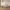 Walnut Wood Arch Dining Chairs – 3 Elegant Walnut Finishes-MinimalisticDecor.com