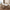 Walnut Wood Arch Dining Chairs – 3 Elegant Walnut Finishes-MinimalisticDecor.com