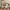 Walnut Wood Arch Dining Chairs – 3 Elegant Walnut Finishes-MinimalisticDecor.com