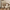 Walnut Wood Arch Dining Chairs – 3 Elegant Walnut Finishes-MinimalisticDecor.com