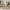 Walnut Wood Arch Dining Chairs – 3 Elegant Walnut Finishes-MinimalisticDecor.com
