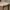 Walnut Wood Low Arch Dining Chairs – Light, Brown & Black Finishes-MinimalisticDecor.com