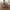 Walnut Wood Rustic Dining Chair – Handcrafted Natural Charm-MinimalisticDecor.com