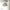 Wind Pendant Lustre Lighting – Sculptural Resin LED Cord Light-MinimalisticDecor.com